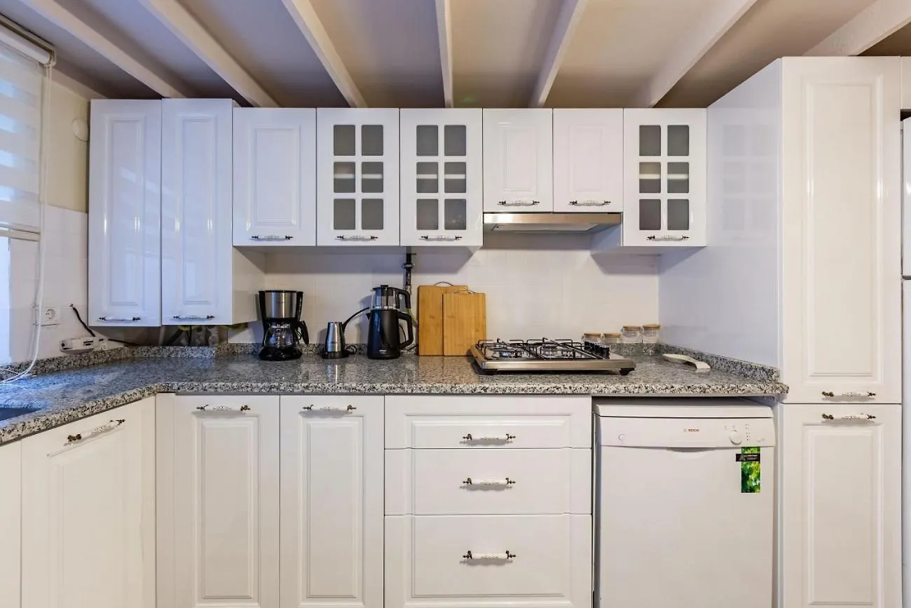 Gorgeous House With Refreshing Garden In Besiktas Apartment Istanbul